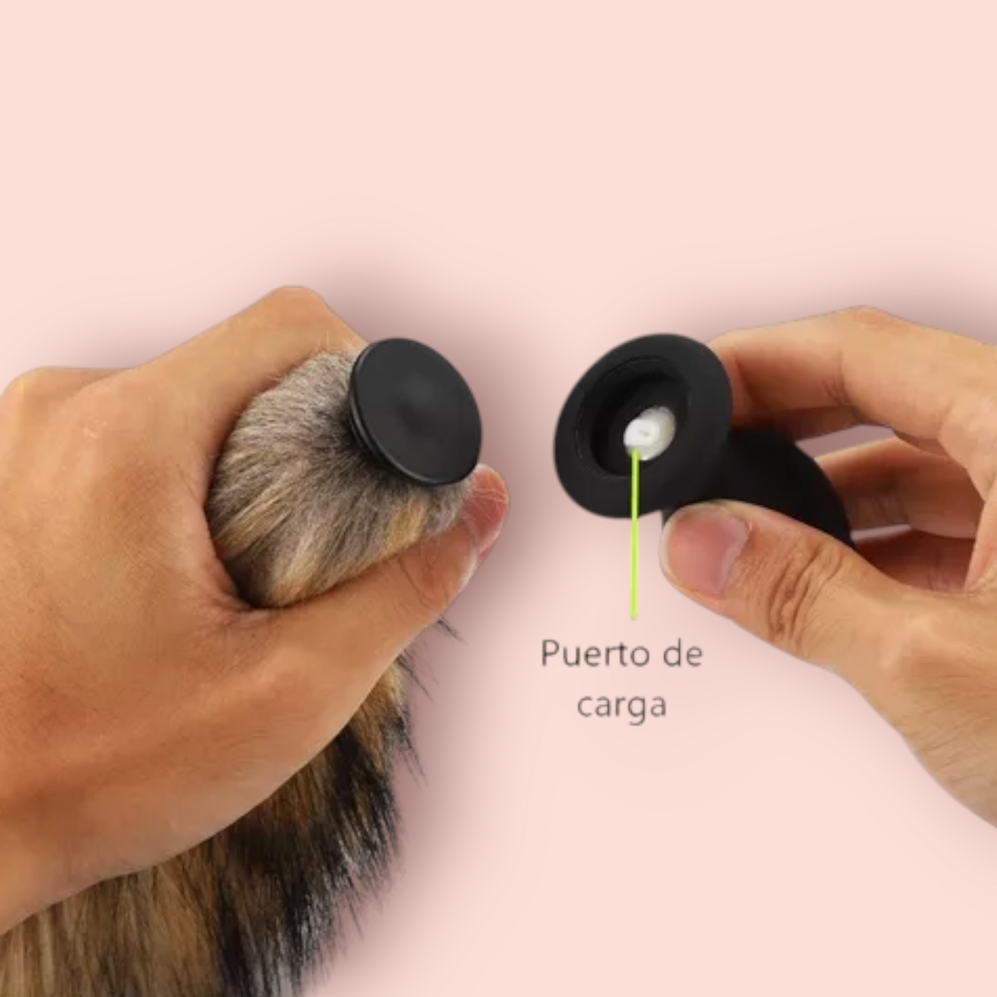 Plug Cola De Zorro Con Vibración