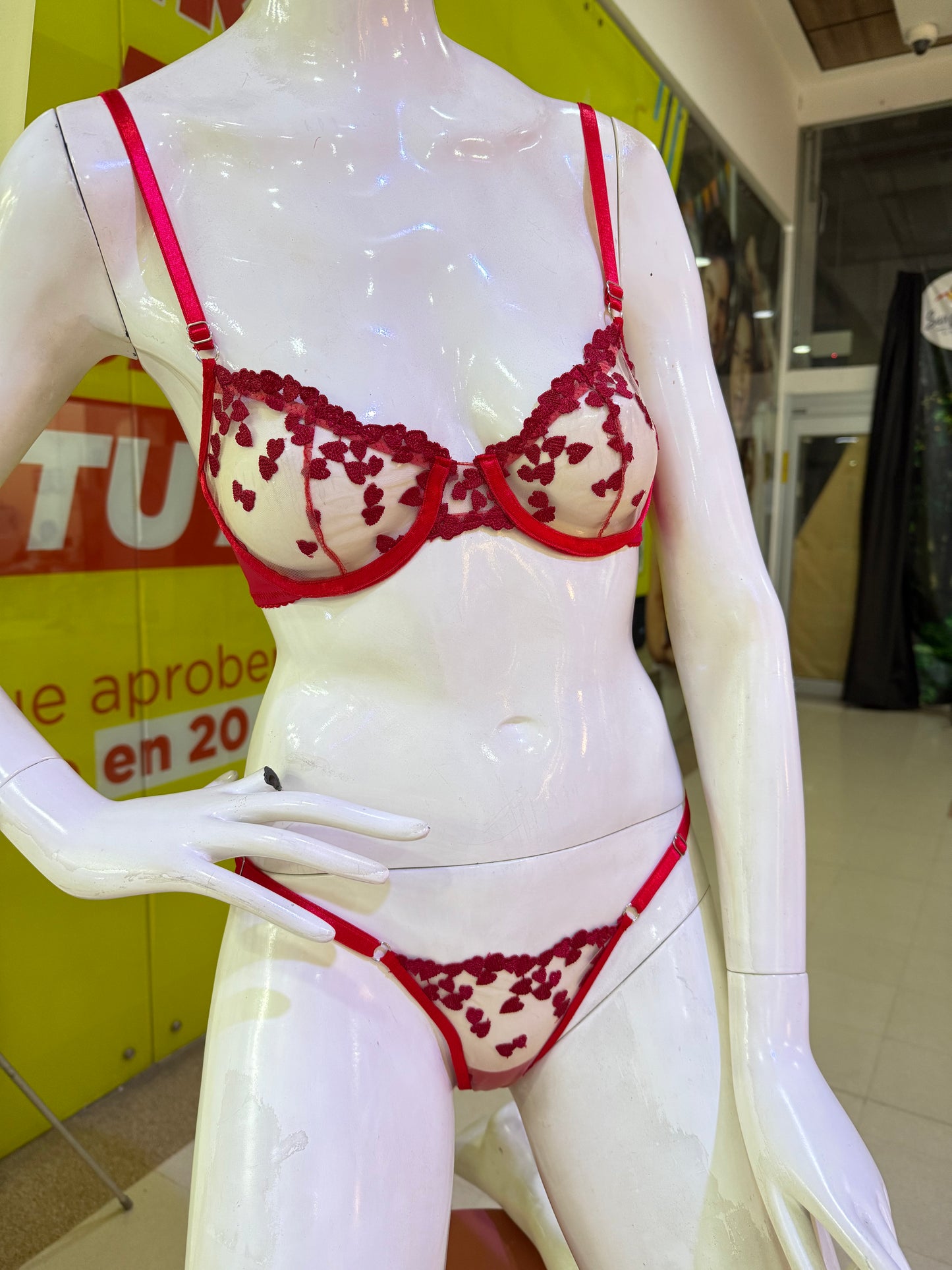 Conjunto Corazón Carmesí