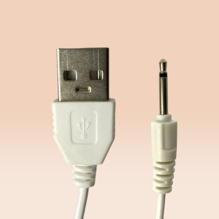 Cargador USB De Punto