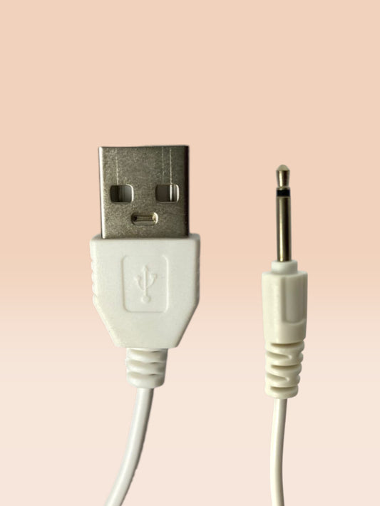 Cargador USB De Punto