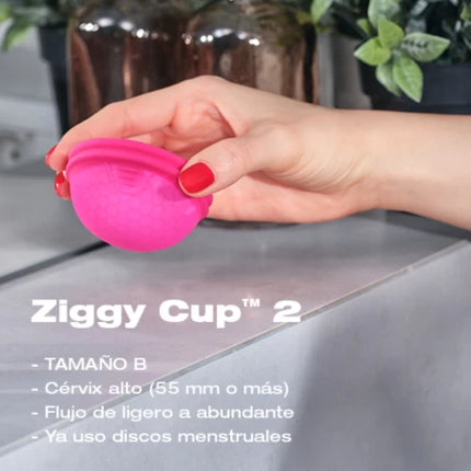 Disco Menstrual Intimina Talla B